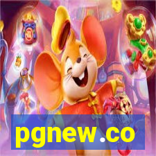 pgnew.co